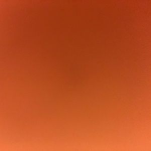 Meet your Posher, Tonee